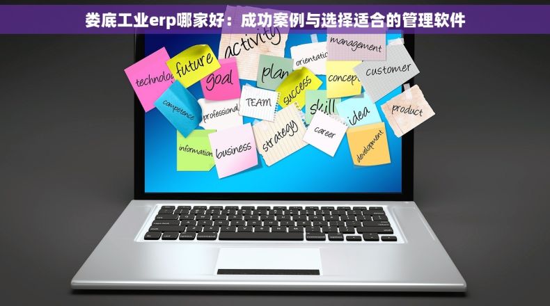 娄底工业erp哪家好：成功案例与选择适合的管理软件