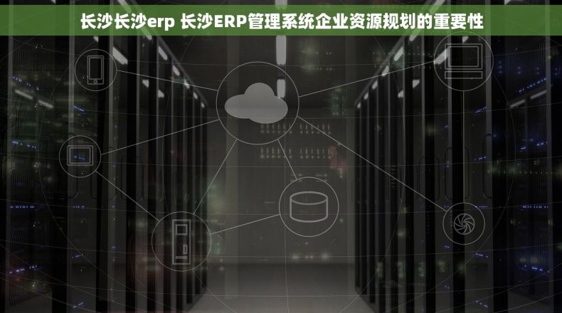 长沙长沙erp 长沙ERP管理系统企业资源规划的重要性