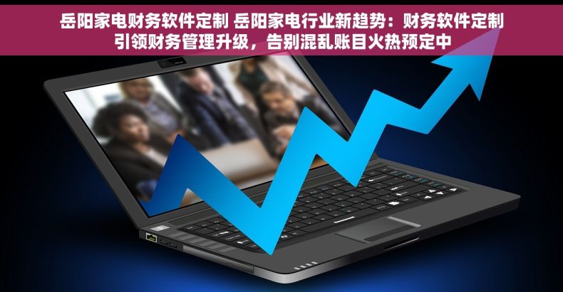 岳阳家电财务软件定制 岳阳家电行业新趋势：财务软件定制引领财务管理升级，告别混乱账目火热预定中