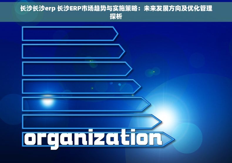 长沙长沙erp 长沙ERP市场趋势与实施策略：未来发展方向及优化管理探析