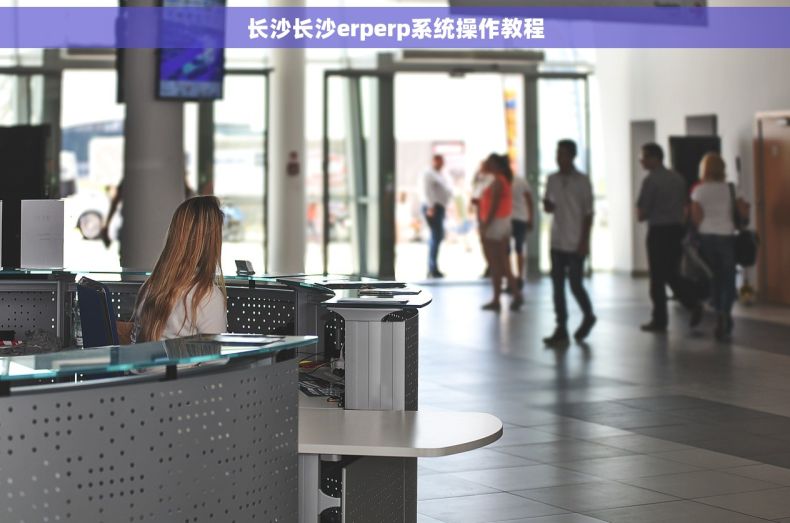 长沙长沙erperp系统操作教程