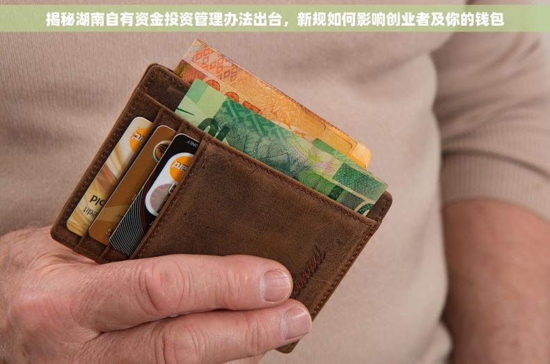 揭秘湖南自有资金投资管理办法出台，新规如何影响创业者及你的钱包