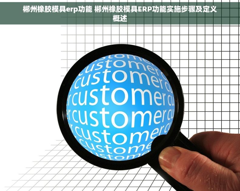 郴州橡胶模具erp功能 郴州橡胶模具ERP功能实施步骤及定义概述