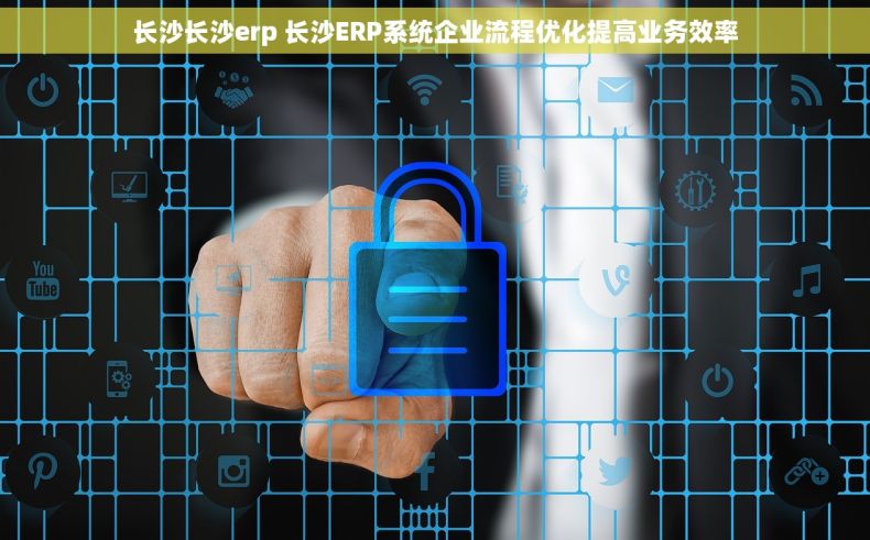 长沙长沙erp 长沙ERP系统企业流程优化提高业务效率