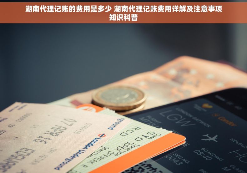 湖南代理记账的费用是多少 湖南代理记账费用详解及注意事项知识科普