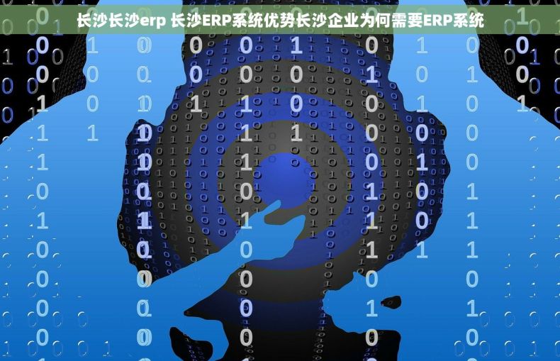 长沙长沙erp 长沙ERP系统优势长沙企业为何需要ERP系统