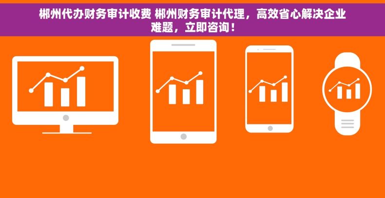 郴州代办财务审计收费 郴州财务审计代理，高效省心解决企业难题，立即咨询！
