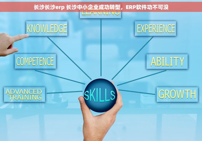 长沙长沙erp 长沙中小企业成功转型，ERP软件功不可没