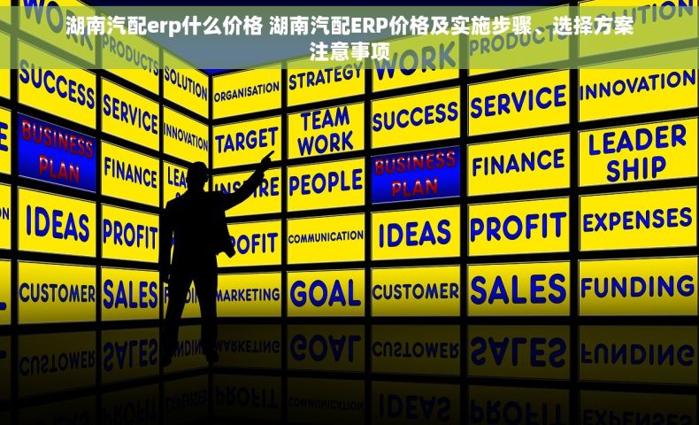 湖南汽配erp什么价格 湖南汽配ERP价格及实施步骤、选择方案注意事项