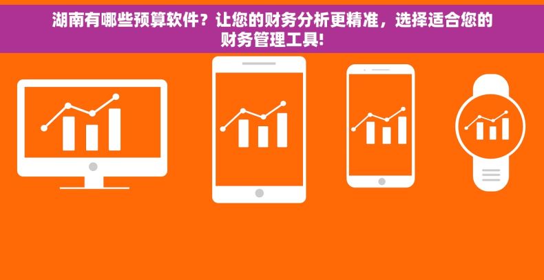 湖南有哪些预算软件？让您的财务分析更精准，选择适合您的财务管理工具!