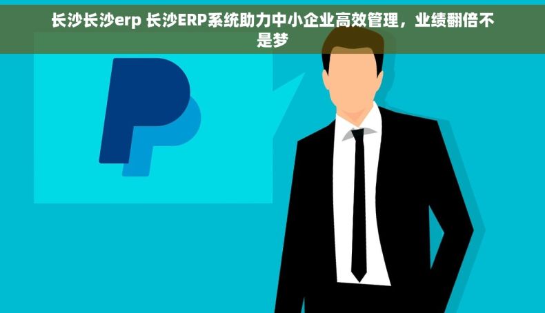 长沙长沙erp 长沙ERP系统助力中小企业高效管理，业绩翻倍不是梦