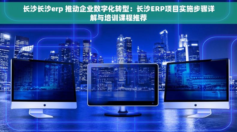 长沙长沙erp 推动企业数字化转型：长沙ERP项目实施步骤详解与培训课程推荐