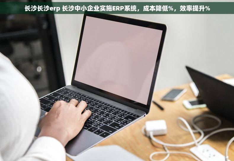 长沙长沙erp 长沙中小企业实施ERP系统，成本降低%，效率提升%