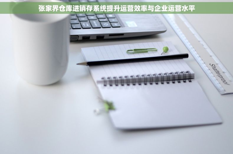 张家界仓库进销存系统提升运营效率与企业运营水平