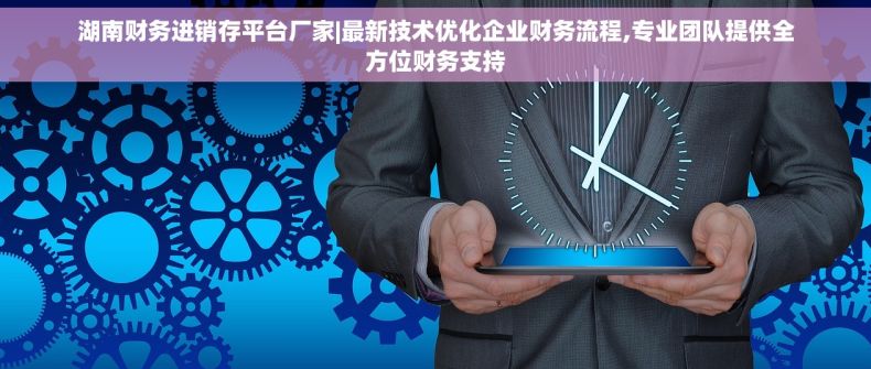 湖南财务进销存平台厂家|最新技术优化企业财务流程,专业团队提供全方位财务支持