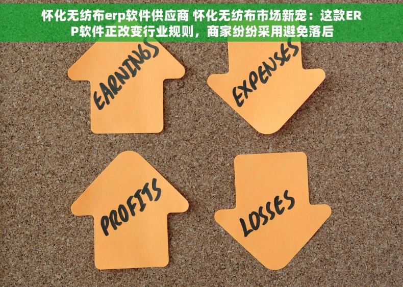 怀化无纺布erp软件供应商 怀化无纺布市场新宠：这款ERP软件正改变行业规则，商家纷纷采用避免落后