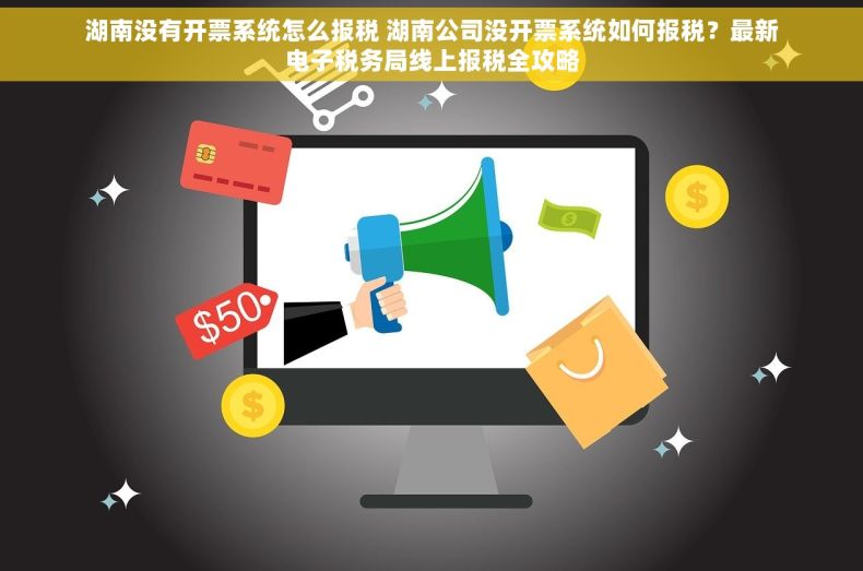 湖南没有开票系统怎么报税 湖南公司没开票系统如何报税？最新电子税务局线上报税全攻略