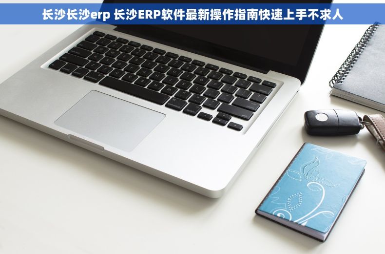 长沙长沙erp 长沙ERP软件最新操作指南快速上手不求人