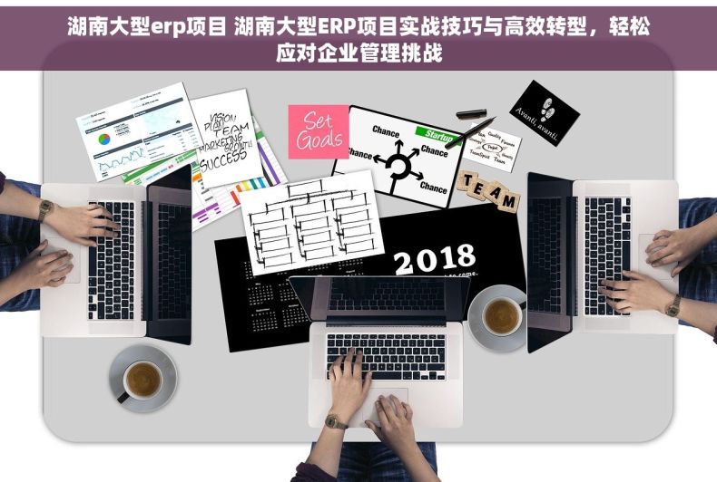 湖南大型erp项目 湖南大型ERP项目实战技巧与高效转型，轻松应对企业管理挑战