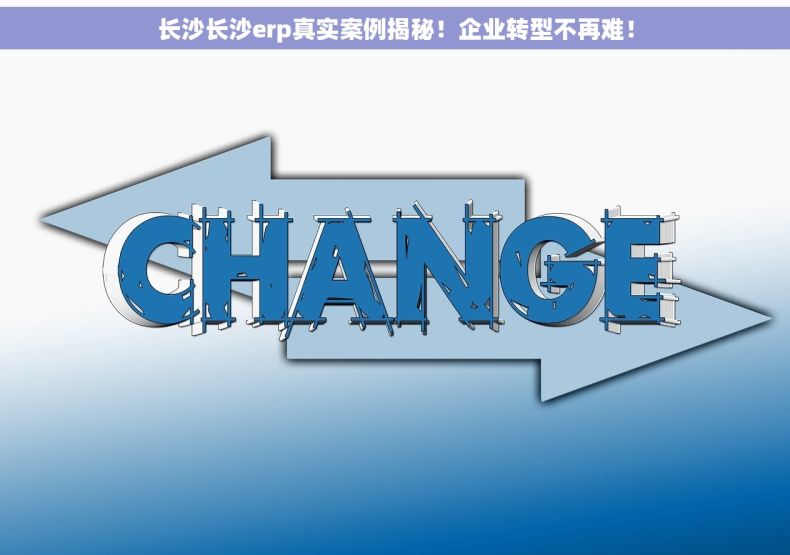 长沙长沙erp真实案例揭秘！企业转型不再难！