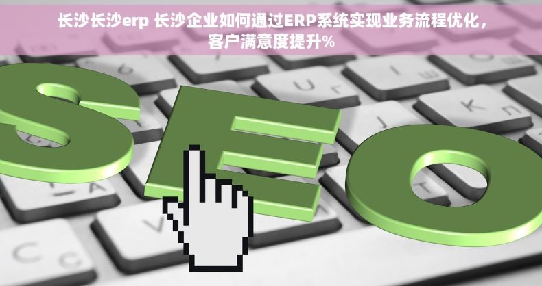 长沙长沙erp 长沙企业如何通过ERP系统实现业务流程优化，客户满意度提升%