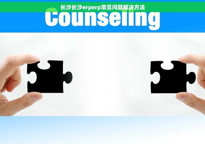 长沙长沙erperp常见问题解决方法