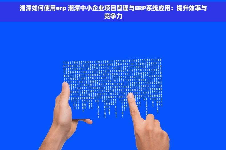 湘潭如何使用erp 湘潭中小企业项目管理与ERP系统应用：提升效率与竞争力