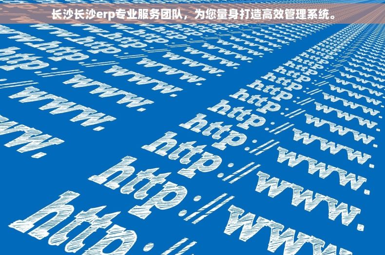 长沙长沙erp专业服务团队，为您量身打造高效管理系统。