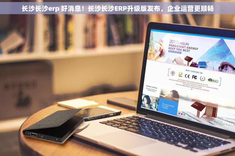 长沙长沙erp 好消息！长沙长沙ERP升级版发布，企业运营更顺畅