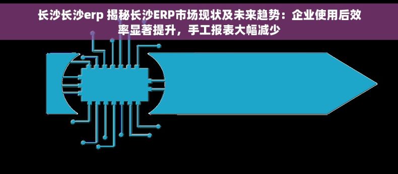 长沙长沙erp 揭秘长沙ERP市场现状及未来趋势：企业使用后效率显著提升，手工报表大幅减少
