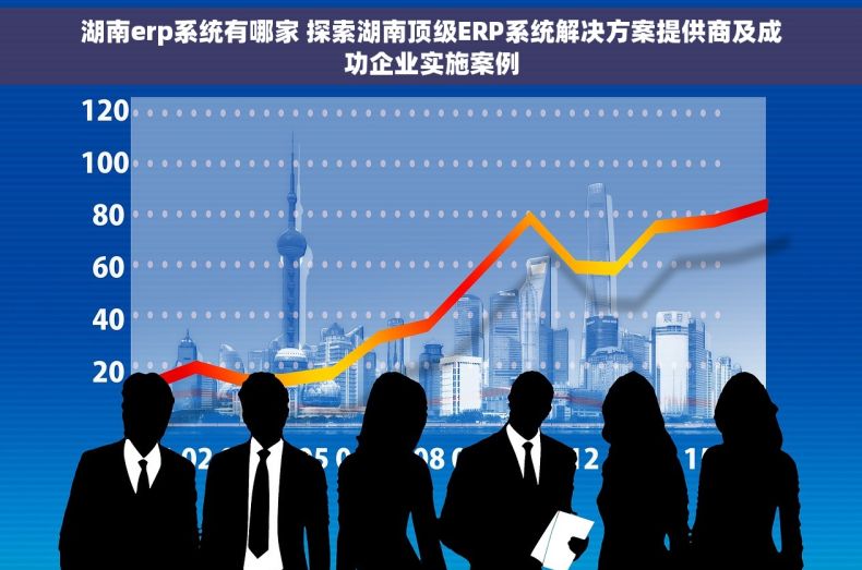 湖南erp系统有哪家 探索湖南顶级ERP系统解决方案提供商及成功企业实施案例