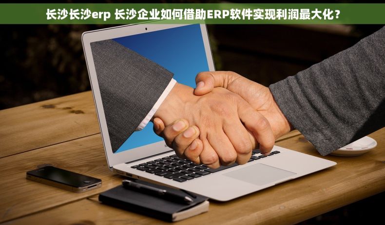 长沙长沙erp 长沙企业如何借助ERP软件实现利润最大化？