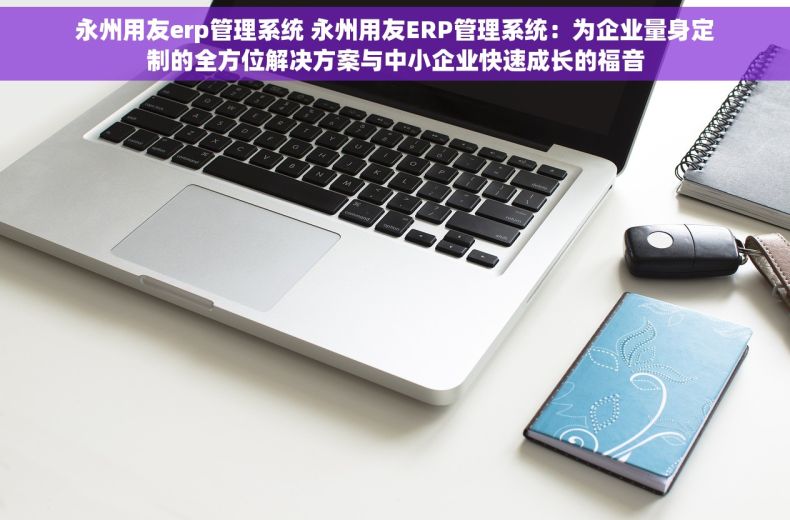 永州用友erp管理系统 永州用友ERP管理系统：为企业量身定制的全方位解决方案与中小企业快速成长的福音