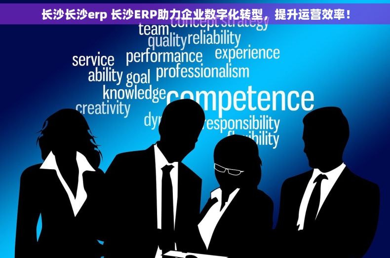 长沙长沙erp 长沙ERP助力企业数字化转型，提升运营效率！