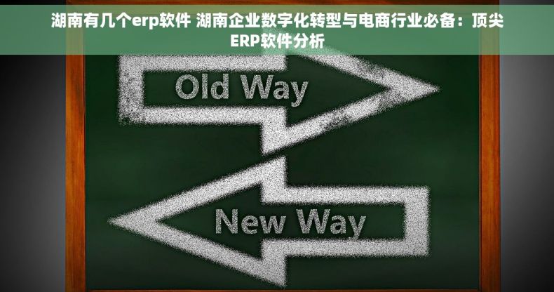 湖南有几个erp软件 湖南企业数字化转型与电商行业必备：顶尖ERP软件分析
