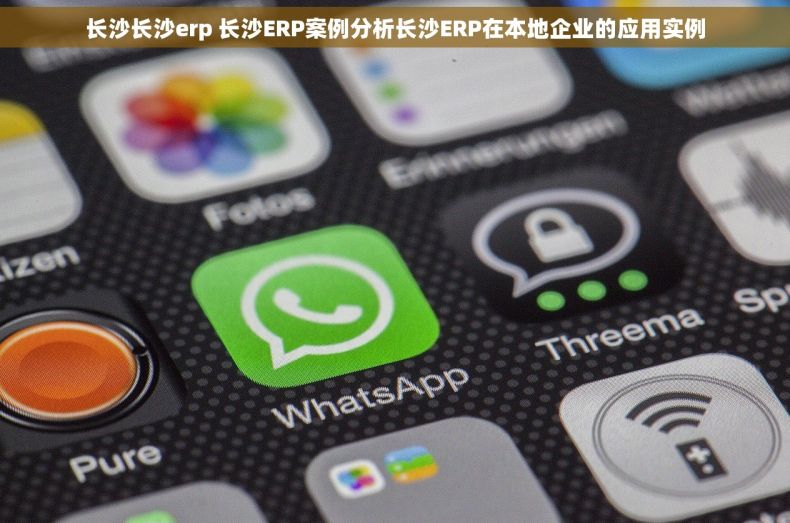 长沙长沙erp 长沙ERP案例分析长沙ERP在本地企业的应用实例