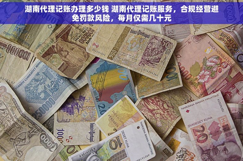 湖南代理记账办理多少钱 湖南代理记账服务，合规经营避免罚款风险，每月仅需几十元