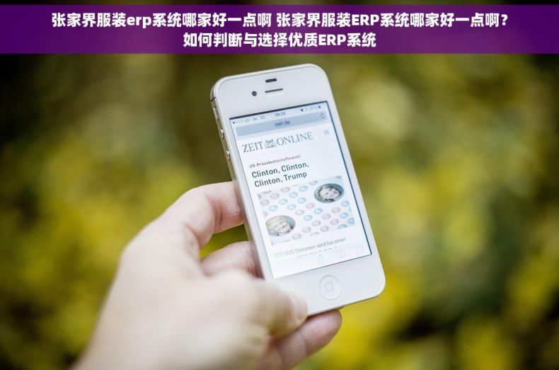 张家界服装erp系统哪家好一点啊 张家界服装ERP系统哪家好一点啊？如何判断与选择优质ERP系统