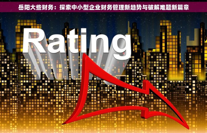 岳阳大些财务：探索中小型企业财务管理新趋势与破解难题新篇章