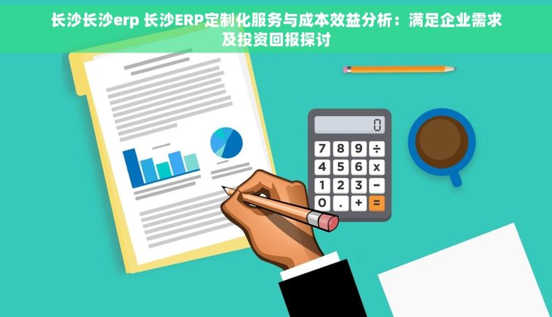 长沙长沙erp 长沙ERP定制化服务与成本效益分析：满足企业需求及投资回报探讨