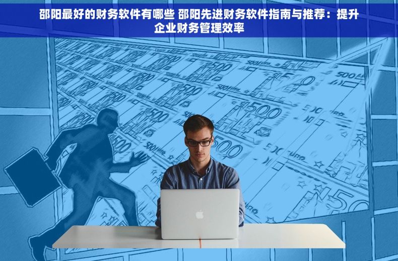 邵阳最好的财务软件有哪些 邵阳先进财务软件指南与推荐：提升企业财务管理效率