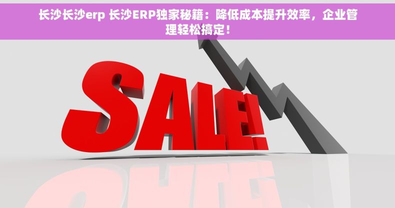 长沙长沙erp 长沙ERP独家秘籍：降低成本提升效率，企业管理轻松搞定！