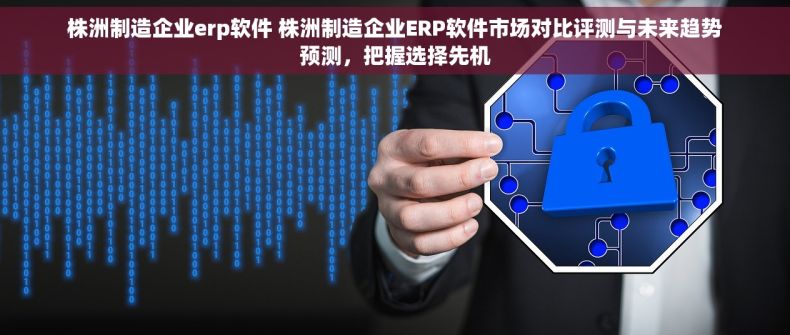 株洲制造企业erp软件 株洲制造企业ERP软件市场对比评测与未来趋势预测，把握选择先机