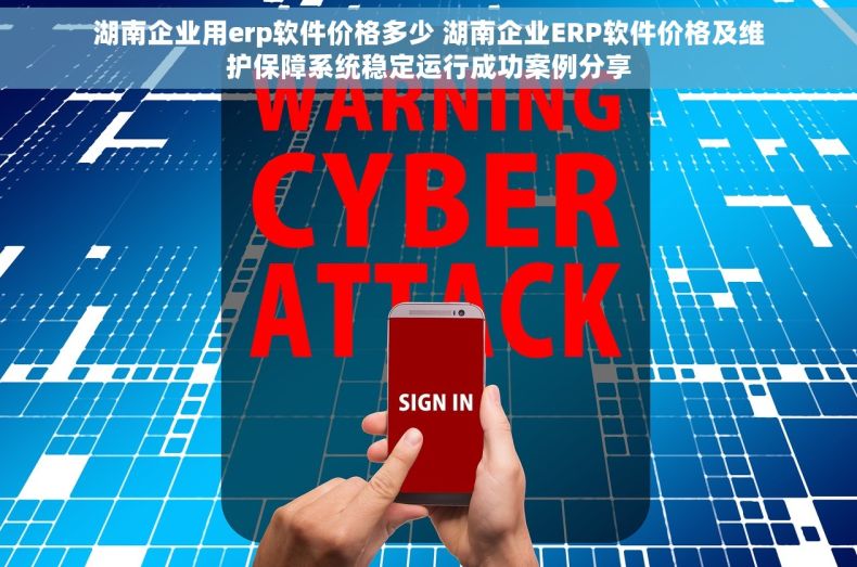 湖南企业用erp软件价格多少 湖南企业ERP软件价格及维护保障系统稳定运行成功案例分享