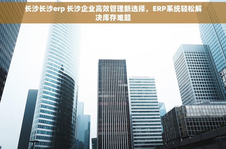 长沙长沙erp 长沙企业高效管理新选择，ERP系统轻松解决库存难题
