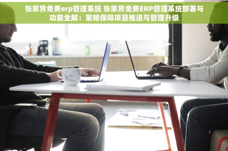 张家界免费erp管理系统 张家界免费ERP管理系统部署与功能全解：策略保障项目推进与管理升级