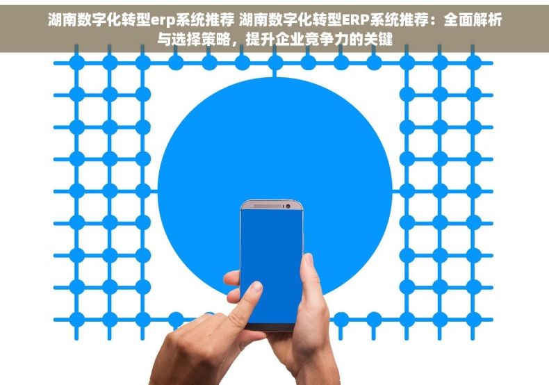 湖南数字化转型erp系统推荐 湖南数字化转型ERP系统推荐：全面解析与选择策略，提升企业竞争力的关键