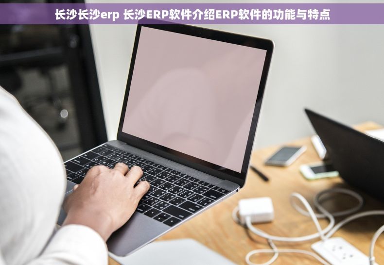 长沙长沙erp 长沙ERP软件介绍ERP软件的功能与特点