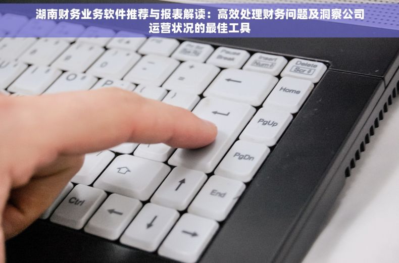 湖南财务业务软件推荐与报表解读：高效处理财务问题及洞察公司运营状况的最佳工具