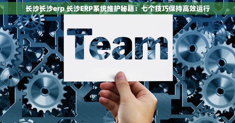 长沙长沙erp 长沙ERP系统维护秘籍：七个技巧保持高效运行